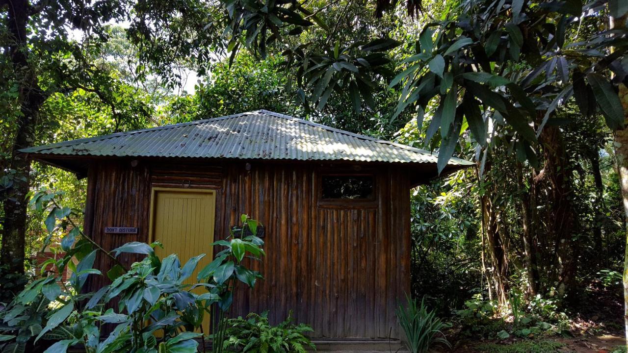 Bwindi Guest House Kanungu 外观 照片